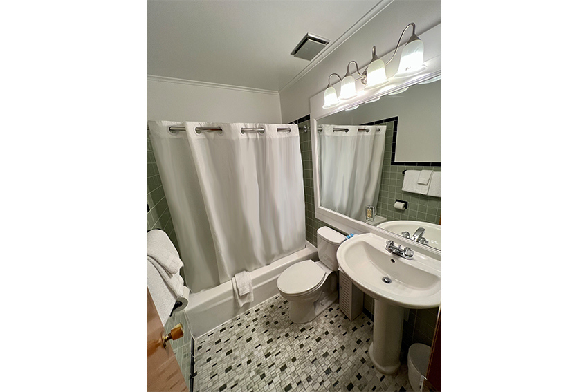 Large bathroom with shower, toilet and sink